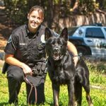 What is a K-9 Unit and How to Become a Police Dog Handler