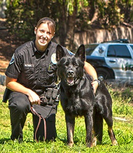 Do Police Dogs Get Paid 