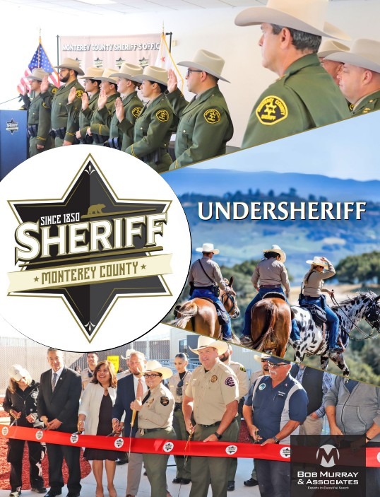 Undersheriff Brochure